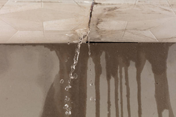 Professional Water Damage Inspection technician working in Lockhart, TX